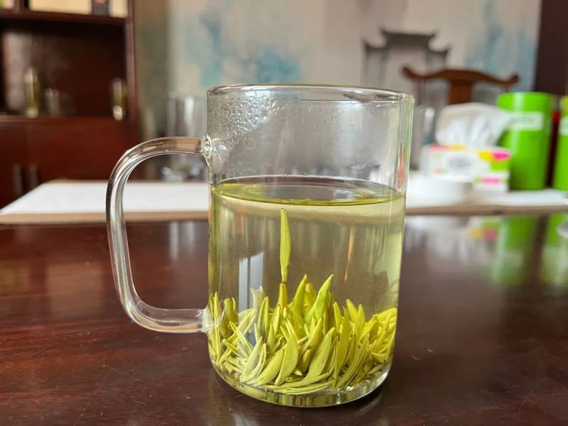 关于南郑篇---别忘了，你也是春天的一部分，一起去茶园踏青吧！的相关内容(22)