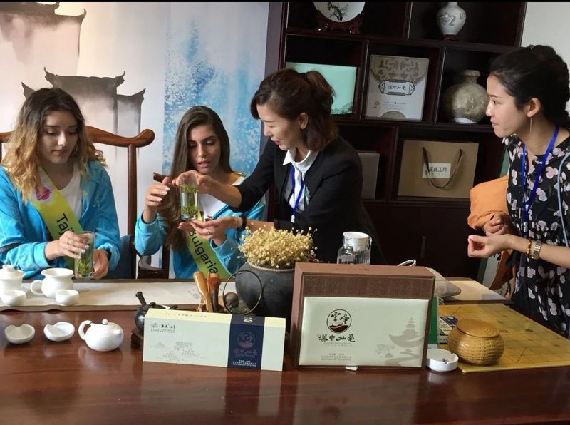 关于南郑篇---别忘了，你也是春天的一部分，一起去茶园踏青吧！的相关内容(18)