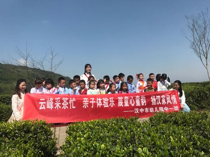 关于南郑篇---别忘了，你也是春天的一部分，一起去茶园踏青吧！的相关内容(14)