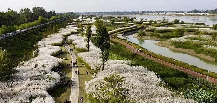 关于南郑篇---别忘了，你也是春天的一部分，一起去茶园踏青吧！的相关内容(28)