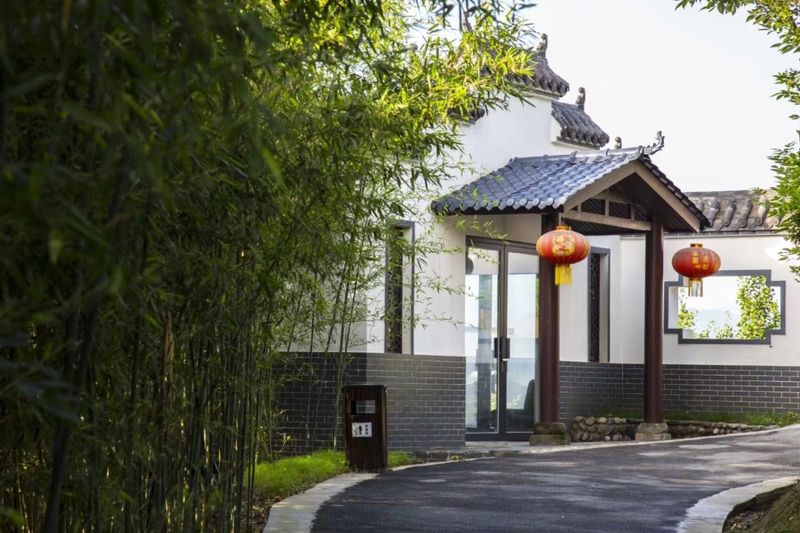 关于南郑篇---别忘了，你也是春天的一部分，一起去茶园踏青吧！的相关内容(16)