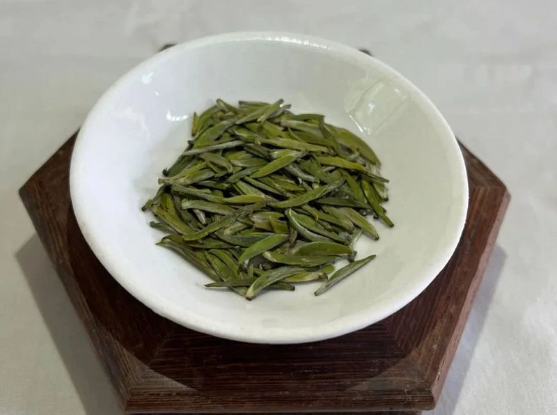 关于南郑篇---别忘了，你也是春天的一部分，一起去茶园踏青吧！的相关内容(21)