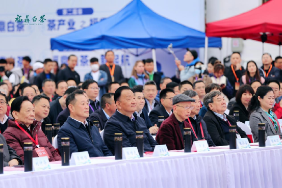 关于首届中国白茶交易大会盛大开幕的最新消息