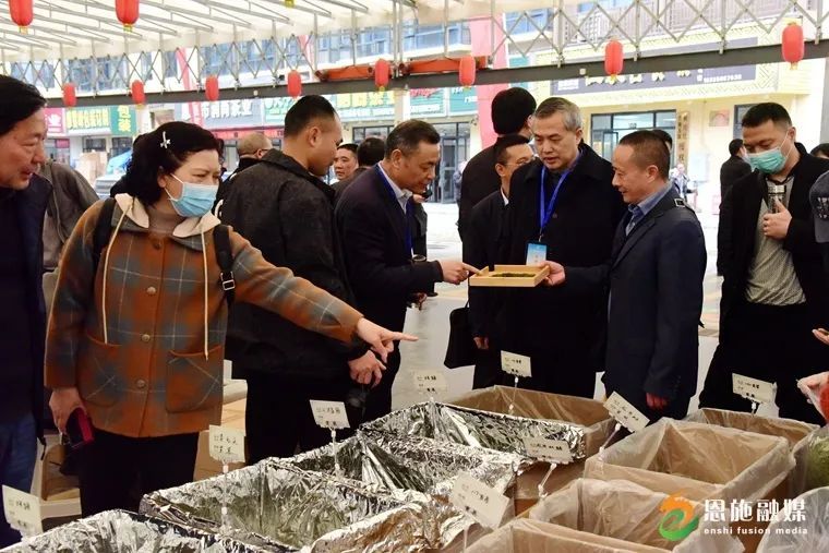 关于恩施市春茶俏销，已售5.92亿元！的资讯(2)