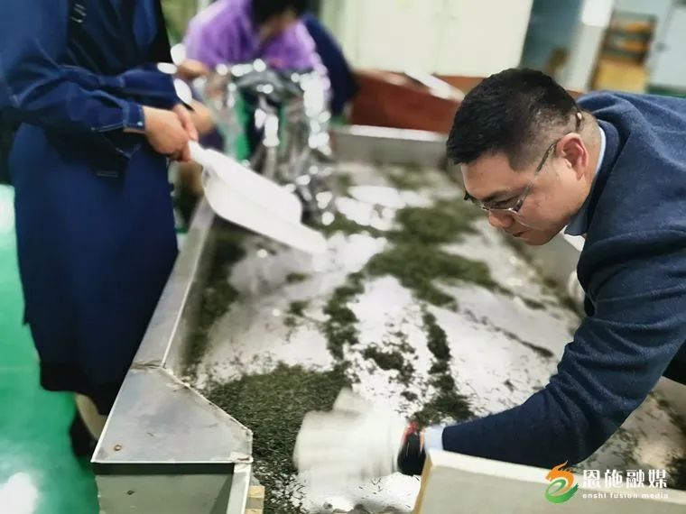 关于恩施市春茶俏销，已售5.92亿元！的资讯