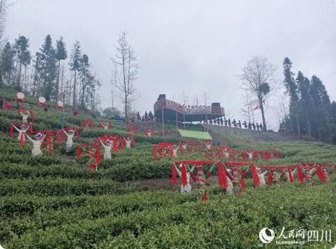 有关于做足“茶文章” 农旅融合助推汶川乡村振兴“一路飘香”的信息