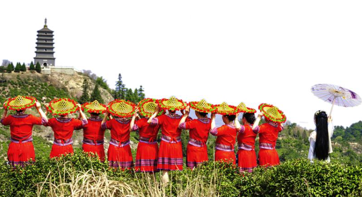 有关于随县草店镇：乡村合作公司助力茶产业高质量发展的信息(1)