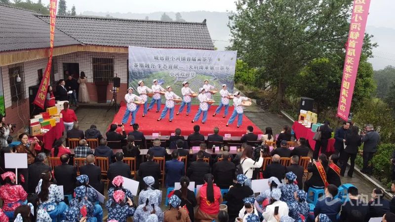 关于“以茶为媒”!内江这里举办首届采茶节的信息(2)