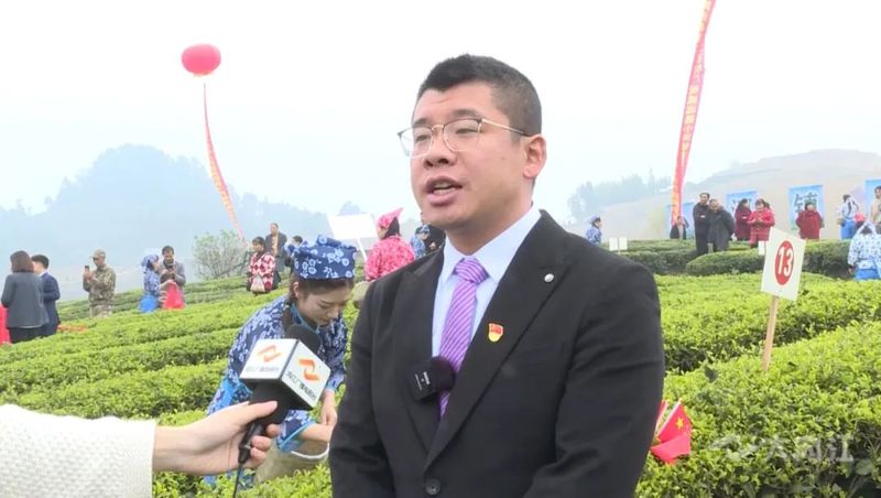 关于“以茶为媒”!内江这里举办首届采茶节的信息(7)