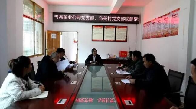 有关于雷山：茶产业“联建”添活力 打造共富“朋友圈”的消息(7)