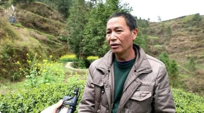 有关于雷山：茶产业“联建”添活力 打造共富“朋友圈”的消息(5)