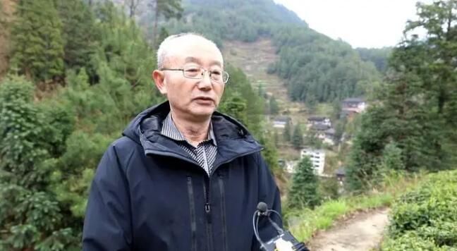 有关于雷山:茶产业“联建”添活力 打造共富“朋友圈”的消息(2)