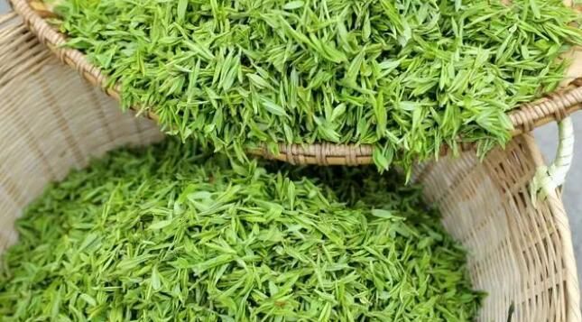 有关于雷山：茶产业“联建”添活力 打造共富“朋友圈”的消息(16)