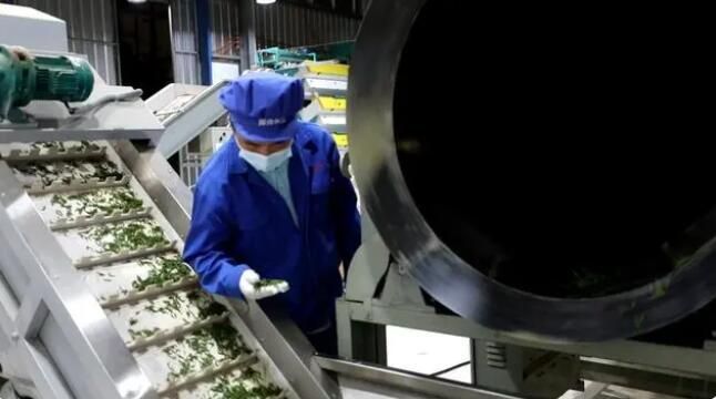 有关于雷山：茶产业“联建”添活力 打造共富“朋友圈”的消息(19)