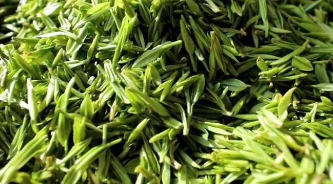 有关于雷山：茶产业“联建”添活力 打造共富“朋友圈”的消息(11)