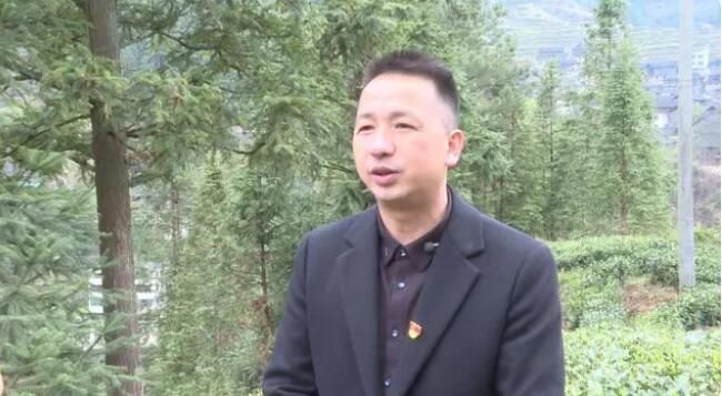 有关于雷山：茶产业“联建”添活力 打造共富“朋友圈”的消息(8)
