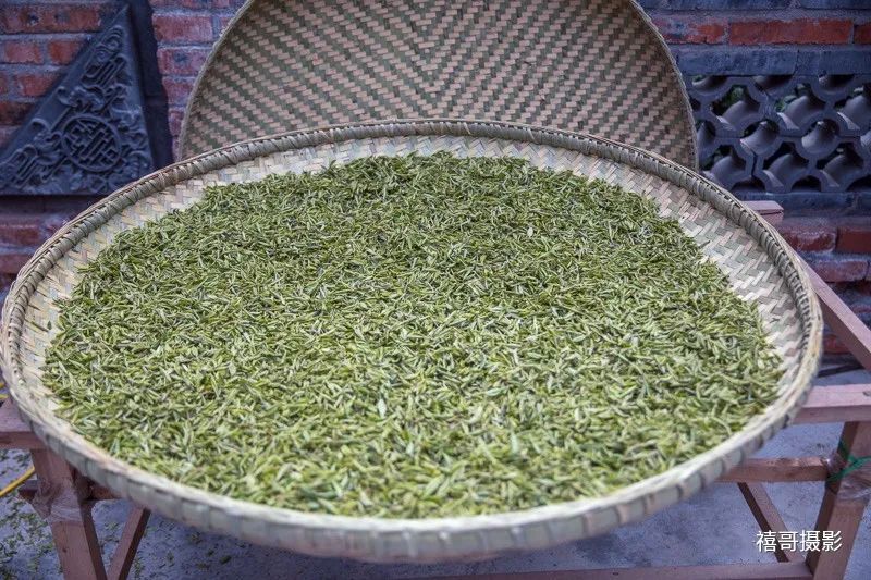 有关于乡村行走：象园沟里采茶忙的信息(13)