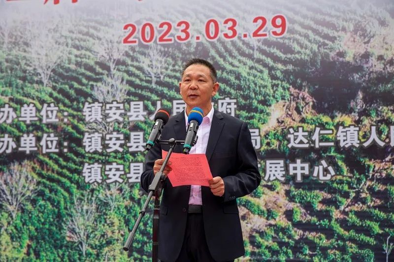 有关于乡村行走：象园沟里采茶忙的信息(11)