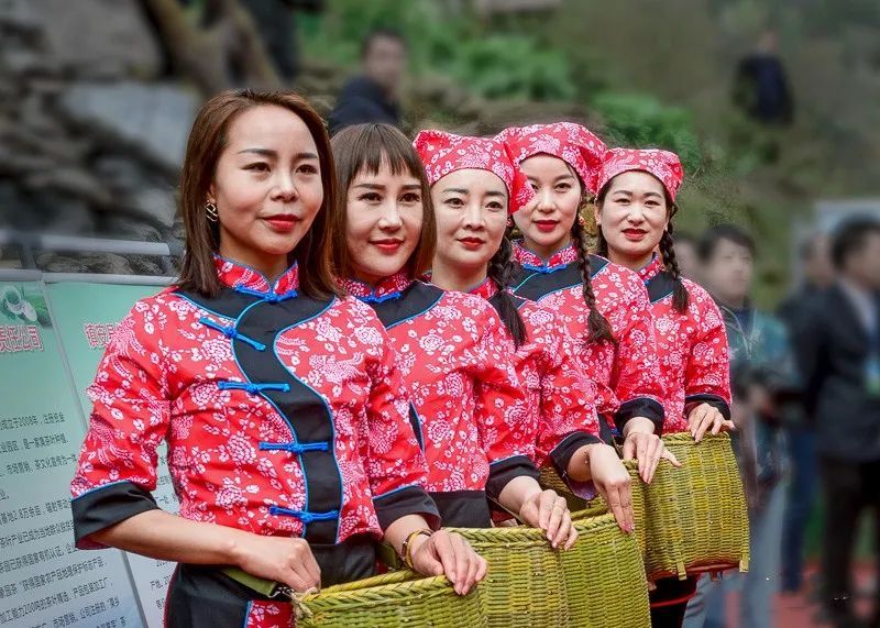 有关于乡村行走：象园沟里采茶忙的信息(14)