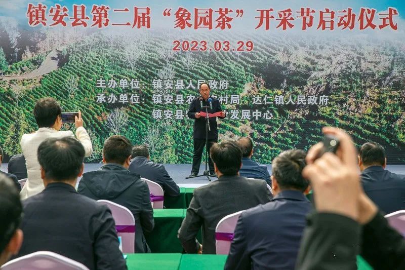 有关于乡村行走：象园沟里采茶忙的信息(10)