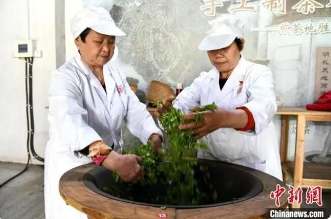 关于乡约福建：福州春茶开采正当时的内容(3)