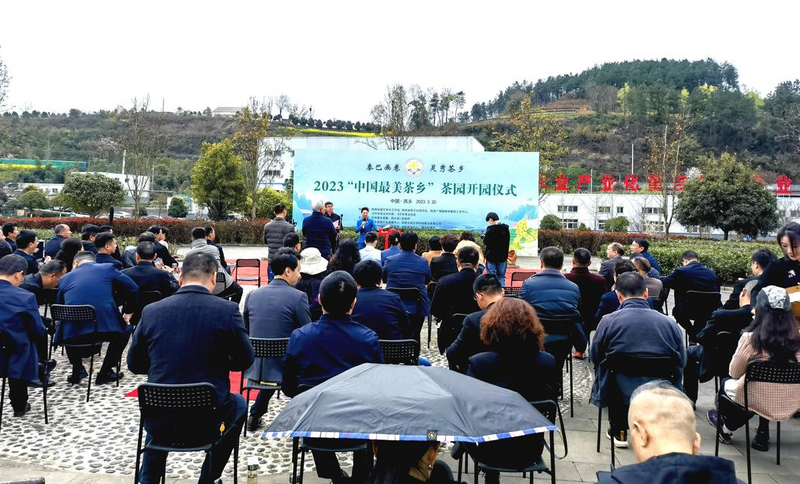 有关于春意盎然，茶香四溢！汉中茶事活动精彩纷呈！的内容(2)