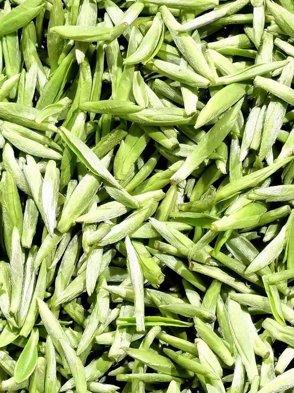 有关于春意盎然，茶香四溢！汉中茶事活动精彩纷呈！的内容(1)