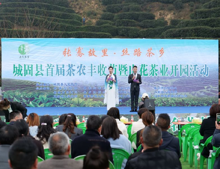 有关于春意盎然，茶香四溢！汉中茶事活动精彩纷呈！的内容(9)