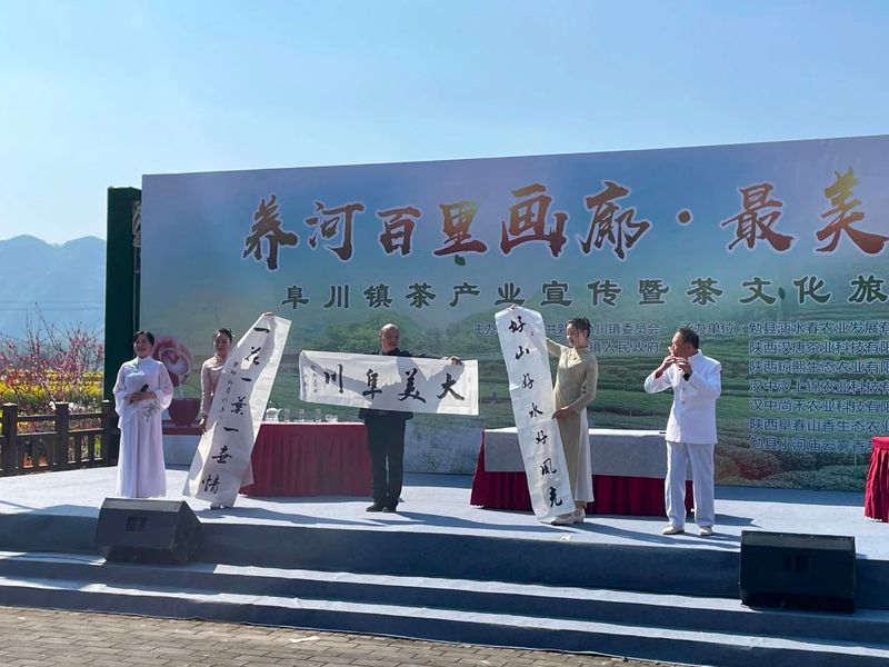 有关于春意盎然，茶香四溢！汉中茶事活动精彩纷呈！的内容(33)