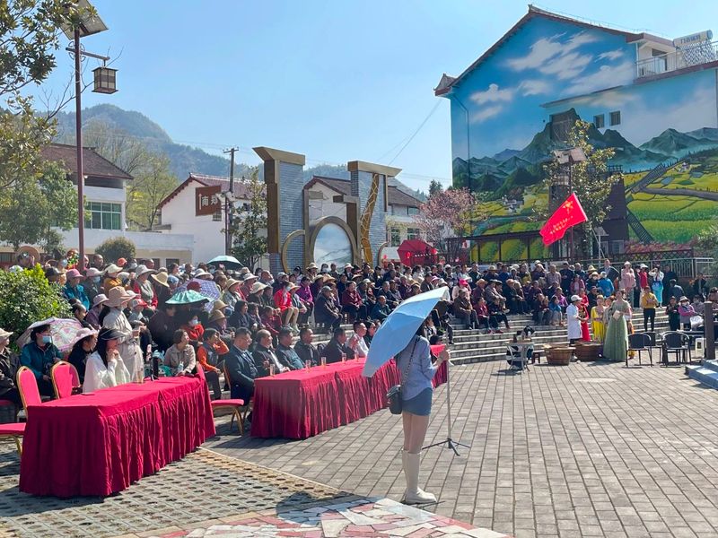 有关于春意盎然，茶香四溢！汉中茶事活动精彩纷呈！的内容(30)