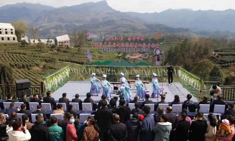 有关于春意盎然，茶香四溢！汉中茶事活动精彩纷呈！的内容(29)