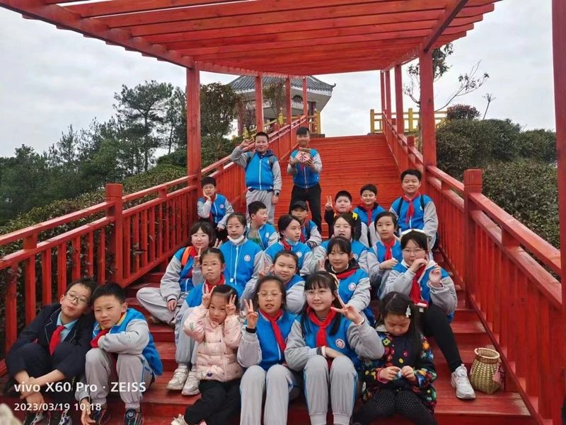 有关于春意盎然，茶香四溢！汉中茶事活动精彩纷呈！的内容(21)