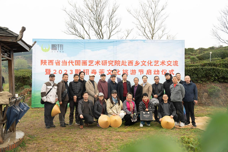 有关于春意盎然，茶香四溢！汉中茶事活动精彩纷呈！的内容(6)