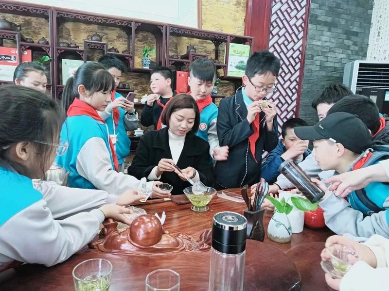 有关于春意盎然，茶香四溢！汉中茶事活动精彩纷呈！的内容(20)