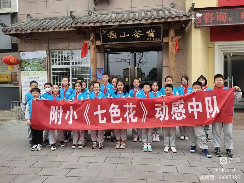 有关于春意盎然，茶香四溢！汉中茶事活动精彩纷呈！的内容(22)