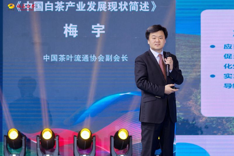 关于首届中国白茶交易大会—高质量发展主题交流会成功召开的最新消息(2)