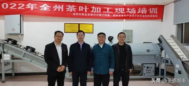 有关于湘西自治州政府党组成员、副州长刘冬生调研湘西州茶产业发展的相关内容(2)