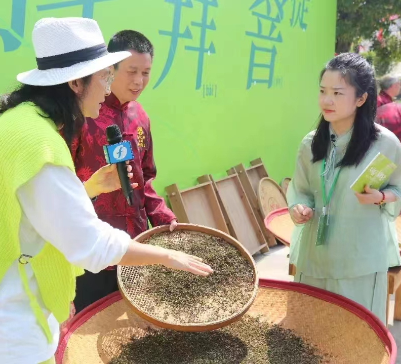 关于“香”约福建：福州春茶开采正当时的最新消息(9)