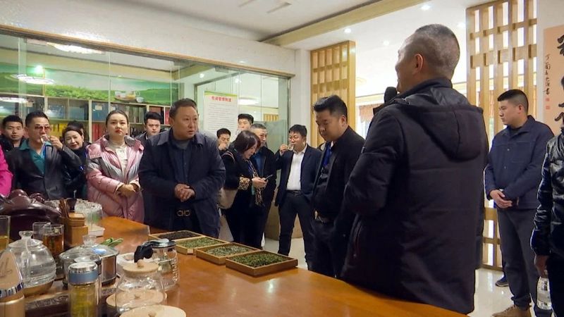 关于贵州省第十五届茶博会凤冈活动暨“万人卖茶”活动启动的信息(1)