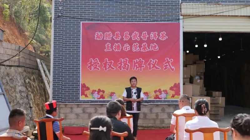 关于勐腊县易武普洱茶直播基地揭牌的内容(1)
