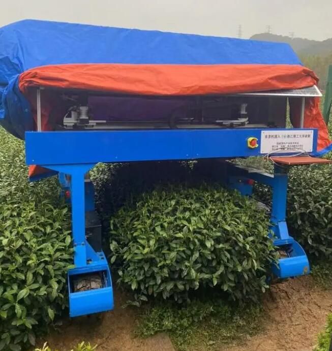 关于1秒采1芽，西湖龙井产区采茶机器人今起“试营业”的消息(1)