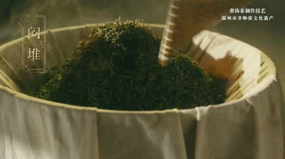 有关于平阳黄汤，平阳非遗·传承笔记 ，杯中黄金 茗香大地的信息(3)