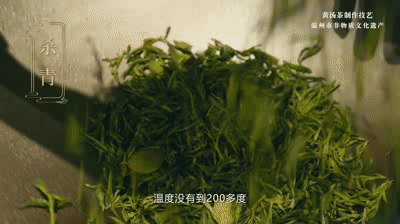 有关于平阳黄汤，平阳非遗·传承笔记 ，杯中黄金 茗香大地的信息(1)