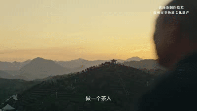 有关于平阳黄汤，平阳非遗·传承笔记 ，杯中黄金 茗香大地的信息(5)