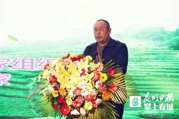 关于打造云茶产业特色经济圈，他们都说了啥？的信息