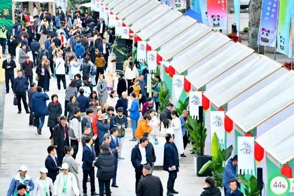 有关于见证实力 共谋发展 雅茶集团组织各地经销商、企业家到雅参观的相关信息(1)