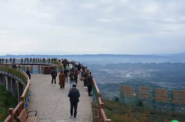 有关于见证实力 共谋发展 雅茶集团组织各地经销商、企业家到雅参观的相关信息(3)