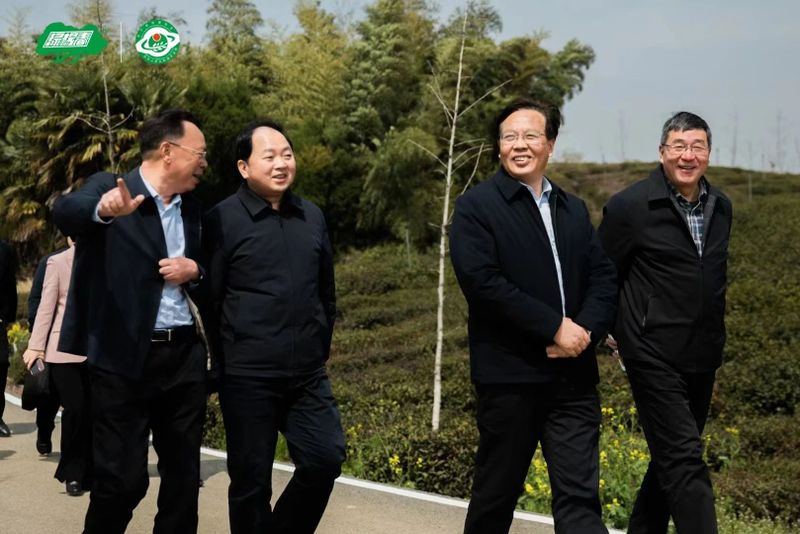 有关于走进茶区———省茶叶学会专家参加扬州绿杨春茶开采节活动的内容(1)
