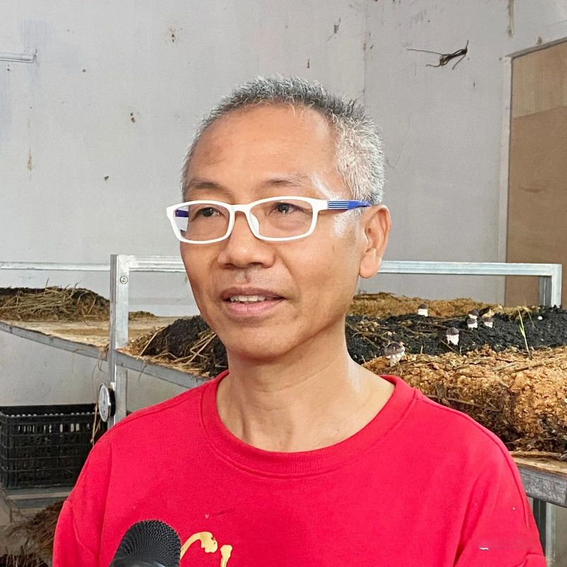 有关于鹤山积极探索茶下经济模式 构建特色低碳生态立体茶园的资讯(2)