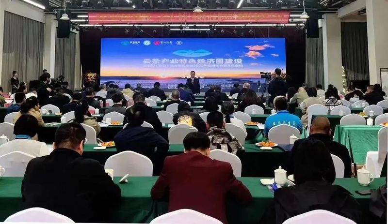 有关于专家学者齐聚临沧 共话云茶产业高质量发展的信息